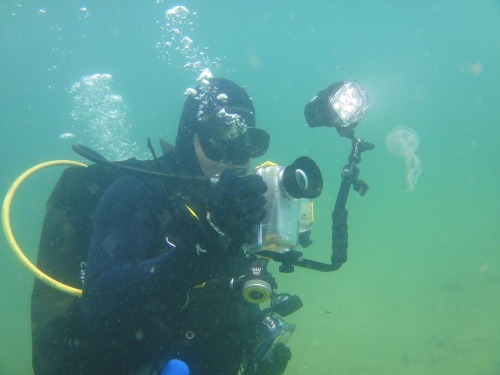 Tony filming a jellyfish