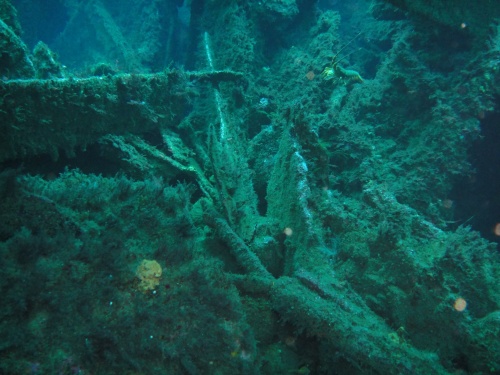 Wreckage of the Maori
