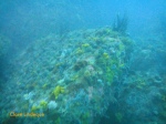Rocky reef on which the SS Lusitania is lying