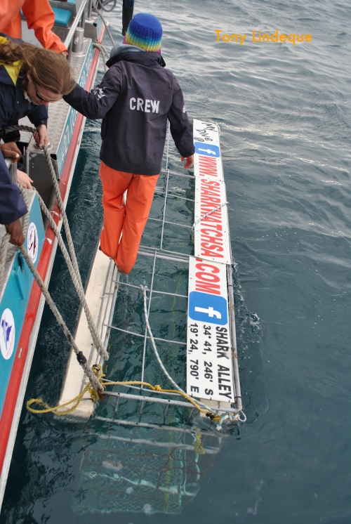 Securing the cage to the side of the boat