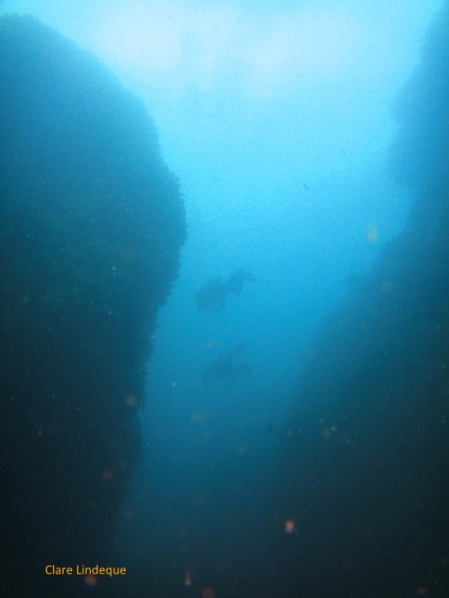 Divers pass between the pinnacles