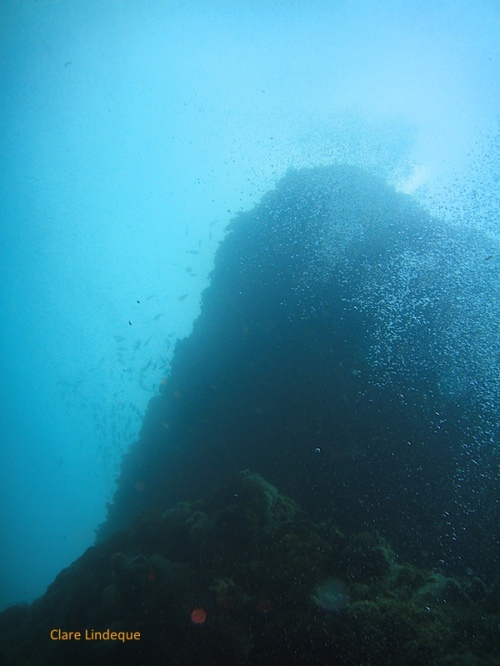 One of the pinnacles of Atlantis Reef rises to near the surface
